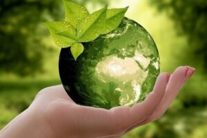 Estándares ambientales para las empresas